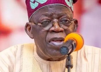 Election results: Tinubu told to write acceptance speech as ‘President-elect’